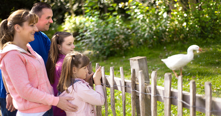 family looking at animals on Beamish Museum 1940s farm